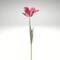 Parrot Tulip Stem Dark Pink Yellow | 27" Artificial Flower-FS383394